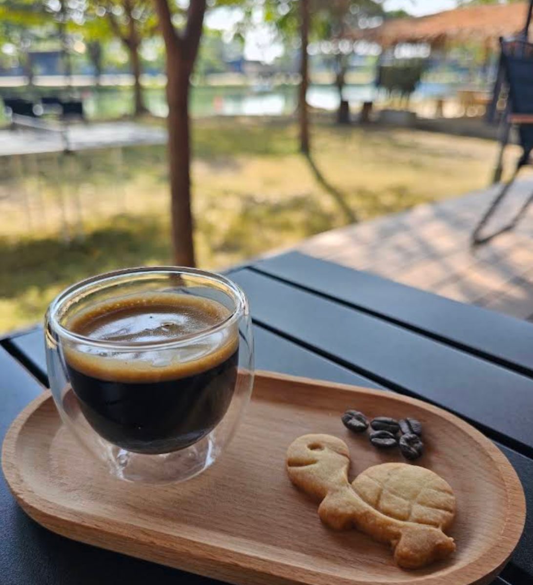 Espresso with a turtle cookie